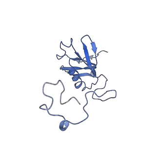 0977_6lu1_D_v1-0
Cyanobacterial PSI Monomer from T. elongatus by Single Particle CRYO-EM at 3.2 A Resolution
