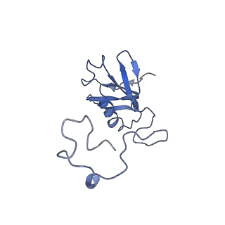 0977_6lu1_D_v2-0
Cyanobacterial PSI Monomer from T. elongatus by Single Particle CRYO-EM at 3.2 A Resolution