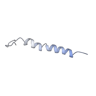 0977_6lu1_I_v2-0
Cyanobacterial PSI Monomer from T. elongatus by Single Particle CRYO-EM at 3.2 A Resolution