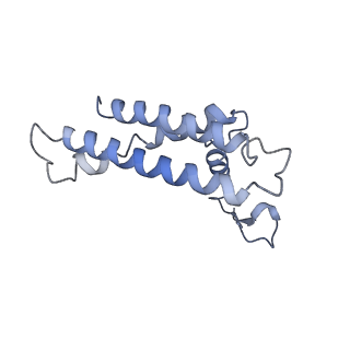 0977_6lu1_L_v1-0
Cyanobacterial PSI Monomer from T. elongatus by Single Particle CRYO-EM at 3.2 A Resolution