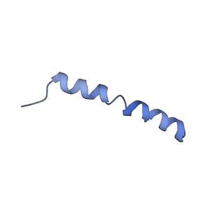 0977_6lu1_M_v2-0
Cyanobacterial PSI Monomer from T. elongatus by Single Particle CRYO-EM at 3.2 A Resolution