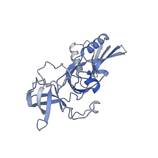 0978_6lu8_3_v1-0
Cryo-EM structure of a human pre-60S ribosomal subunit - state A