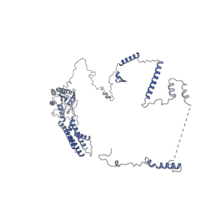 0978_6lu8_4_v1-0
Cryo-EM structure of a human pre-60S ribosomal subunit - state A