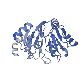 0978_6lu8_6_v1-0
Cryo-EM structure of a human pre-60S ribosomal subunit - state A