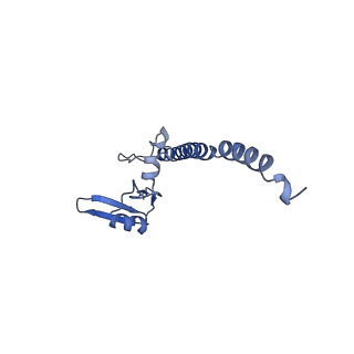 0978_6lu8_7_v1-0
Cryo-EM structure of a human pre-60S ribosomal subunit - state A