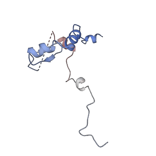 0978_6lu8_9_v1-0
Cryo-EM structure of a human pre-60S ribosomal subunit - state A