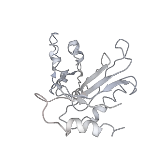 0978_6lu8_A_v1-0
Cryo-EM structure of a human pre-60S ribosomal subunit - state A