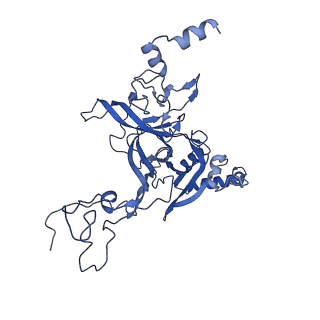 0978_6lu8_B_v1-0
Cryo-EM structure of a human pre-60S ribosomal subunit - state A