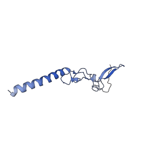 0978_6lu8_F_v1-0
Cryo-EM structure of a human pre-60S ribosomal subunit - state A
