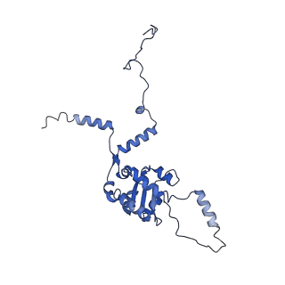 0978_6lu8_G_v1-0
Cryo-EM structure of a human pre-60S ribosomal subunit - state A