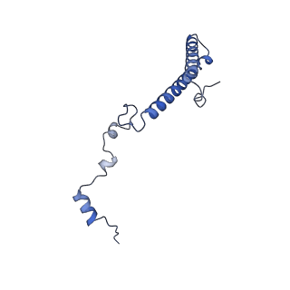 0978_6lu8_H_v1-0
Cryo-EM structure of a human pre-60S ribosomal subunit - state A