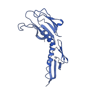 0978_6lu8_I_v1-0
Cryo-EM structure of a human pre-60S ribosomal subunit - state A