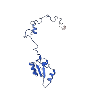 0978_6lu8_L_v1-0
Cryo-EM structure of a human pre-60S ribosomal subunit - state A