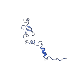 0978_6lu8_M_v1-0
Cryo-EM structure of a human pre-60S ribosomal subunit - state A