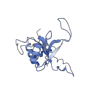 0978_6lu8_N_v1-0
Cryo-EM structure of a human pre-60S ribosomal subunit - state A