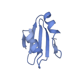 0978_6lu8_O_v1-0
Cryo-EM structure of a human pre-60S ribosomal subunit - state A