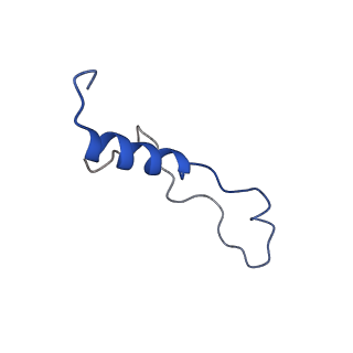 0978_6lu8_P_v1-0
Cryo-EM structure of a human pre-60S ribosomal subunit - state A