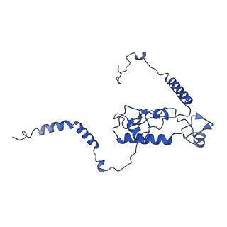 0978_6lu8_Q_v1-0
Cryo-EM structure of a human pre-60S ribosomal subunit - state A