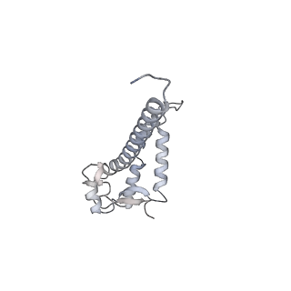 0978_6lu8_R_v1-0
Cryo-EM structure of a human pre-60S ribosomal subunit - state A