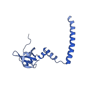0978_6lu8_S_v1-0
Cryo-EM structure of a human pre-60S ribosomal subunit - state A