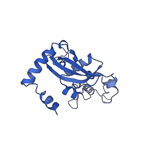 0978_6lu8_U_v1-0
Cryo-EM structure of a human pre-60S ribosomal subunit - state A