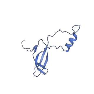 0978_6lu8_W_v1-0
Cryo-EM structure of a human pre-60S ribosomal subunit - state A