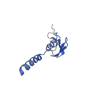0978_6lu8_X_v1-0
Cryo-EM structure of a human pre-60S ribosomal subunit - state A
