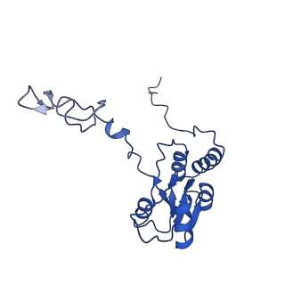 0978_6lu8_Z_v1-0
Cryo-EM structure of a human pre-60S ribosomal subunit - state A