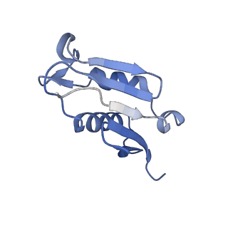 0978_6lu8_d_v1-0
Cryo-EM structure of a human pre-60S ribosomal subunit - state A