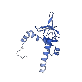 0978_6lu8_h_v1-0
Cryo-EM structure of a human pre-60S ribosomal subunit - state A