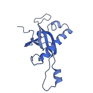 0978_6lu8_i_v1-0
Cryo-EM structure of a human pre-60S ribosomal subunit - state A