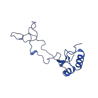 0978_6lu8_k_v1-0
Cryo-EM structure of a human pre-60S ribosomal subunit - state A