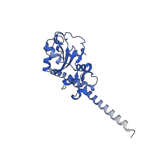 0978_6lu8_p_v1-0
Cryo-EM structure of a human pre-60S ribosomal subunit - state A