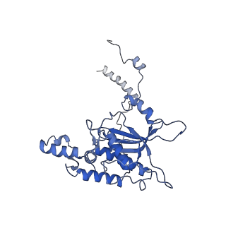 0978_6lu8_r_v1-0
Cryo-EM structure of a human pre-60S ribosomal subunit - state A