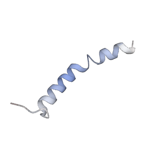 0978_6lu8_z_v1-0
Cryo-EM structure of a human pre-60S ribosomal subunit - state A