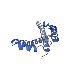0981_6lum_C_v1-1
Structure of Mycobacterium smegmatis succinate dehydrogenase 2