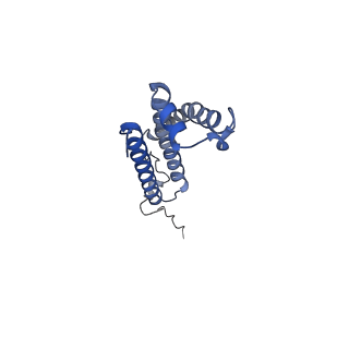 0981_6lum_D_v1-1
Structure of Mycobacterium smegmatis succinate dehydrogenase 2