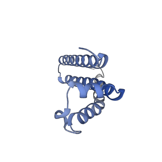 0981_6lum_H_v1-1
Structure of Mycobacterium smegmatis succinate dehydrogenase 2