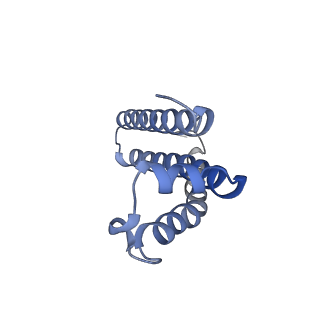 0981_6lum_H_v2-0
Structure of Mycobacterium smegmatis succinate dehydrogenase 2