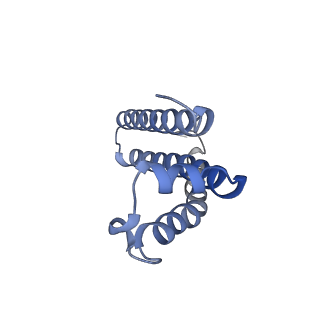 0981_6lum_H_v3-0
Structure of Mycobacterium smegmatis succinate dehydrogenase 2