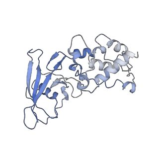 0981_6lum_K_v1-1
Structure of Mycobacterium smegmatis succinate dehydrogenase 2