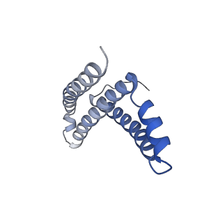 0981_6lum_M_v2-0
Structure of Mycobacterium smegmatis succinate dehydrogenase 2