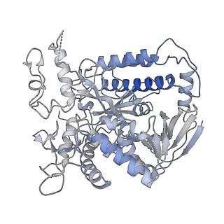 0981_6lum_P_v1-1
Structure of Mycobacterium smegmatis succinate dehydrogenase 2