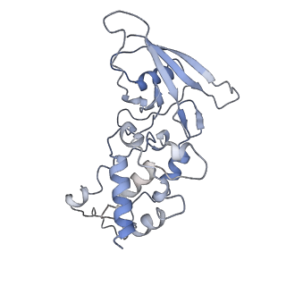 0981_6lum_Q_v1-1
Structure of Mycobacterium smegmatis succinate dehydrogenase 2