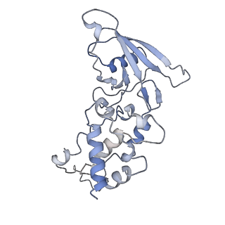 0981_6lum_Q_v2-0
Structure of Mycobacterium smegmatis succinate dehydrogenase 2