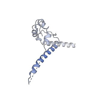 23519_7lua_d_v1-2
Cryo-EM structure of DH898.1 Fab-dimer bound near the CD4 binding site of HIV-1 Env CH848 SOSIP trimer