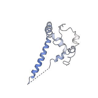 23519_7lua_f_v1-2
Cryo-EM structure of DH898.1 Fab-dimer bound near the CD4 binding site of HIV-1 Env CH848 SOSIP trimer