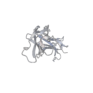 23519_7lua_h_v1-2
Cryo-EM structure of DH898.1 Fab-dimer bound near the CD4 binding site of HIV-1 Env CH848 SOSIP trimer
