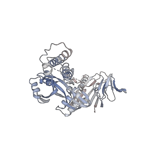 23520_7luc_A_v1-1
Cryo-EM structure of RSV preF bound by Fabs 32.4K and 01.4B