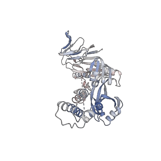 23520_7luc_C_v1-1
Cryo-EM structure of RSV preF bound by Fabs 32.4K and 01.4B